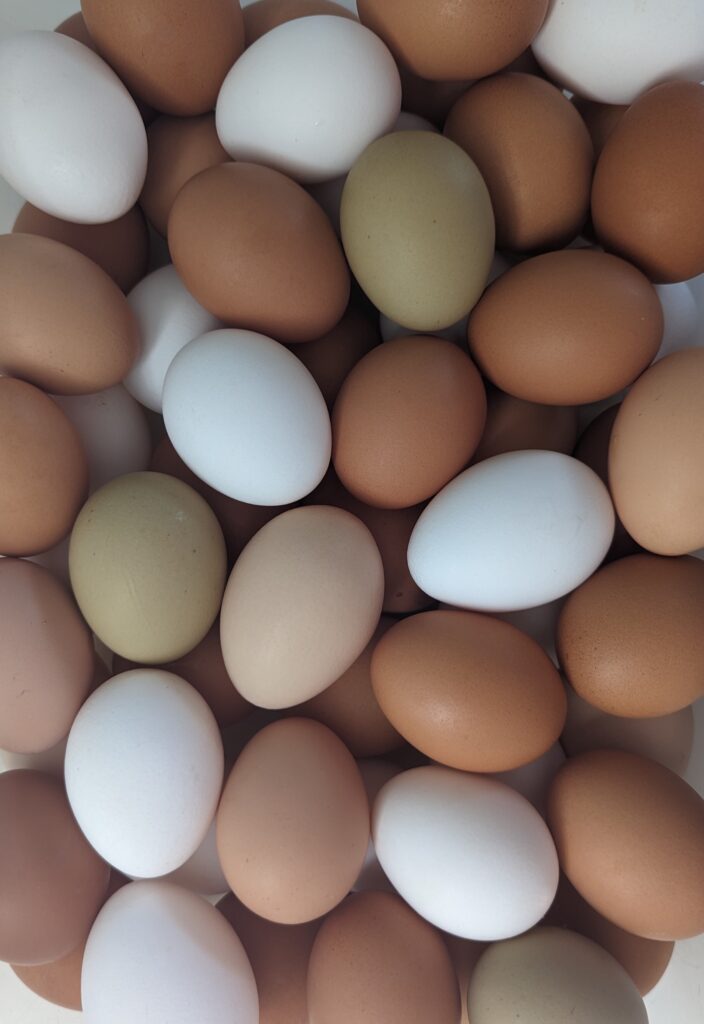 Farm Fresh Eggs